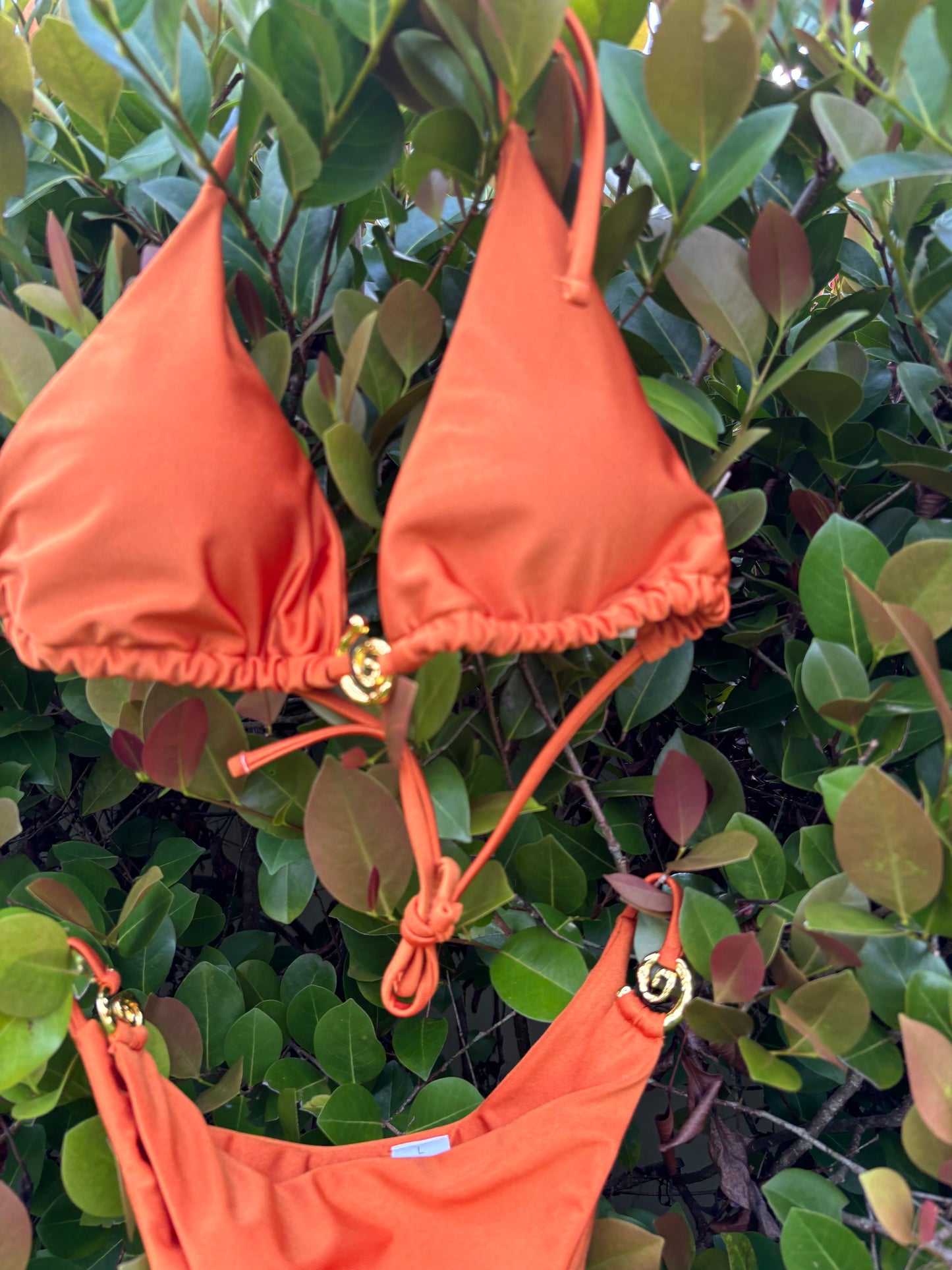 Anastacia Bikini Set