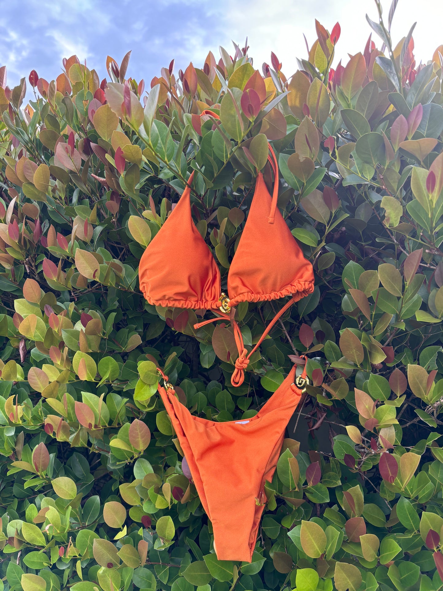 Anastacia Bikini Set